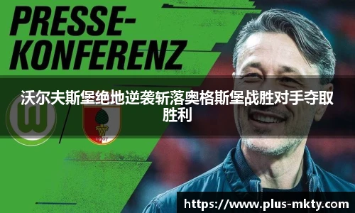 mk体育官网入口
