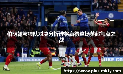 mk体育官网入口