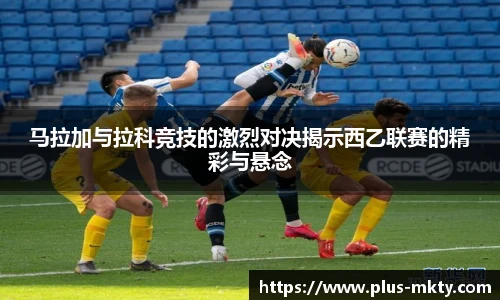 mk体育官网